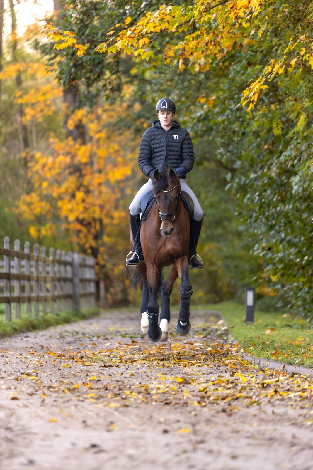 Constantin Mörler reitet im Herbst einen Sandweg entlang